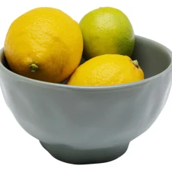 Bol Organic sauge Ø15cm><noscript><img width=