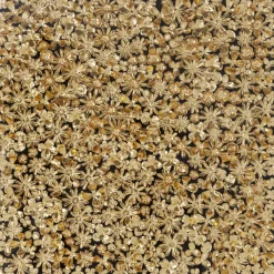 Cadre décoratif Gold Flower 120x120cm>KARE Design Hot
