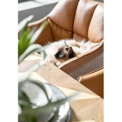 Chaise a. acc. Thinktank marron><noscript><img width=