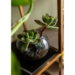 Etagère Cesaro 90x170cm><noscript><img width=