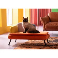 Lit pour chien/chat Diva orange>KARE Design New