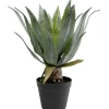 Plante décorative Agave 40cm>KARE Design