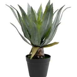 Plante décorative Agave 40cm>KARE Design
