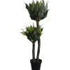 Plante décorative Agave 120cm>KARE Design