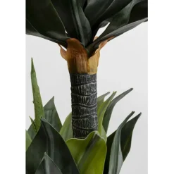 Plante décorative Agave 120cm><noscript><img width=