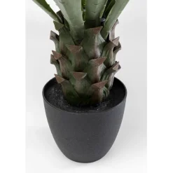 Plante décorative Agave 85cm><noscript><img width=