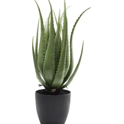 Plante décorative Aloe 69cm>KARE Design New