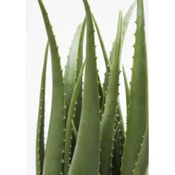 Plante décorative Aloe 69cm>KARE Design New