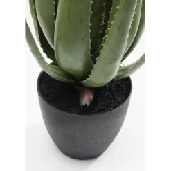 Plante décorative Aloe 69cm><noscript><img width=