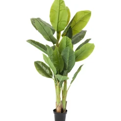 Plante décorative Banana Tree 180cm>KARE Design Discount