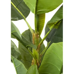 Plante décorative Banana Tree 180cm><noscript><img width=