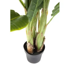 Plante décorative Banana Tree 180cm><noscript><img width=