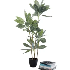 Plante décorative Calathea 140cm>KARE Design Best