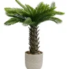 Plante décorative Cycas 70cm>KARE Design Clearance