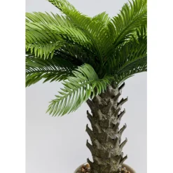 Plante décorative Cycas 70cm>KARE Design Clearance