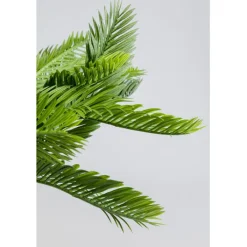 Plante décorative Cycas 70cm><noscript><img width=
