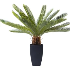 Plante décorative Cycas Tree 78cm>KARE Design Sale