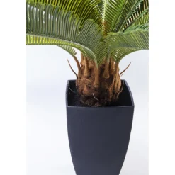 Plante décorative Cycas Tree 78cm><noscript><img width=