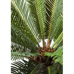 Plante décorative Cycas Tree 78cm><noscript><img width=