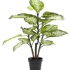 Plante décorative Dieffenbachie 100cm>KARE Design