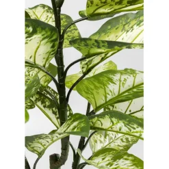 Plante décorative Dieffenbachie 100cm><noscript><img width=