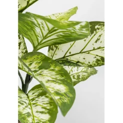 Plante décorative Dieffenbachie 100cm><noscript><img width=