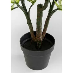Plante décorative Dieffenbachie 100cm><noscript><img width=