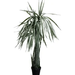 Plante décorative Dragon Tree 155cm>KARE Design Clearance