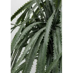 Plante décorative Dragon Tree 155cm><noscript><img width=