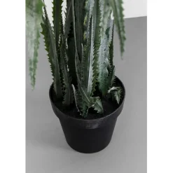 Plante décorative Dragon Tree 155cm><noscript><img width=