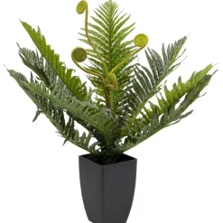 Plante décorative Farn 55cm>KARE Design Sale