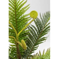 Plante décorative Farn 55cm><noscript><img width=