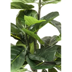 Plante décorative Fiddle Leaf 120cm><noscript><img width=