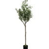 Plante décorative Olive Tree 150cm>KARE Design