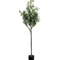 Plante décorative Olive Tree 150cm>KARE Design