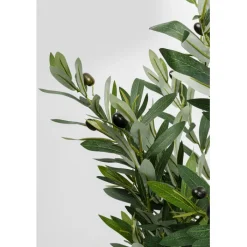 Plante décorative Olive Tree 150cm>KARE Design