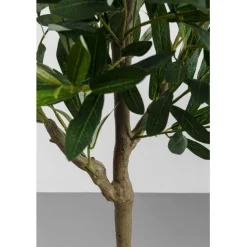 Plante décorative Olive Tree 150cm><noscript><img width=