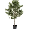 Plante décorative Olive Tree 120cm>KARE Design Discount