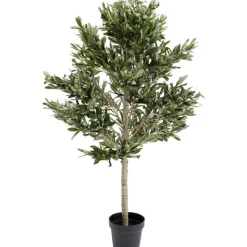 Plante décorative Olive Tree 120cm>KARE Design Discount