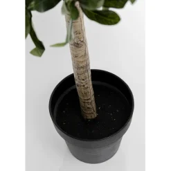 Plante décorative Olive Tree 120cm><noscript><img width=
