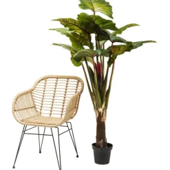 Plante décorative Rainbow Tree 160cm><noscript><img width=