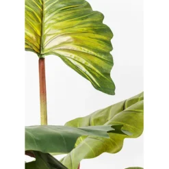 Plante décorative Rainbow Tree 160cm><noscript><img width=