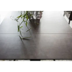 Table à rallonges Amsterdam foncé 160/40+40)x90cm><noscript><img width=