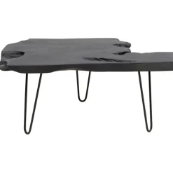Table basse Aspen noir 100x40><noscript><img width=