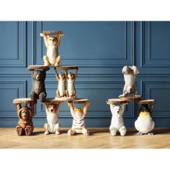 Table d appoint Animal Meerkat Sisters Ø33cm><noscript><img width=