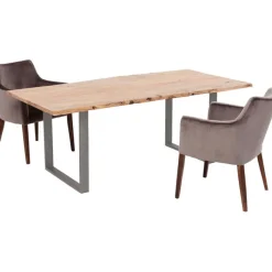 Table Harmony acier brut 180x90cm><noscript><img width=